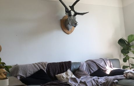 Trophée 3D de cerf - mur