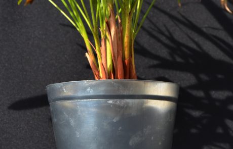 Pot de fleur en zinc fait main - face