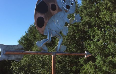 Girouette 2D coccinelle - extérieur