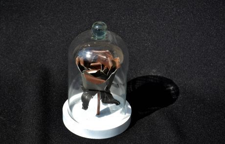 Rose faite main en zinc - sous cloche - dessus