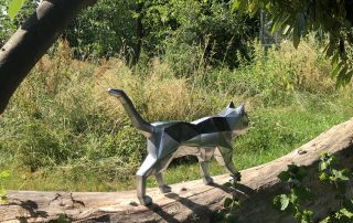 Chat sur pates origami